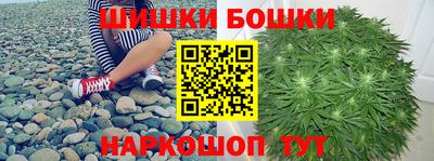 сатива Лесосибирск