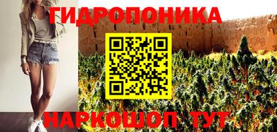 сатива Лесосибирск