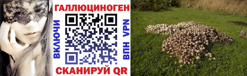 цены Калуга Галлюциногенные грибы прущие грибы