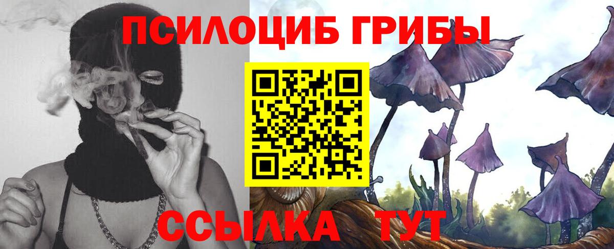 Калуга  Псилоцибиновые грибы ЛСД  Вход с VPN  Псилоцибиновые грибы Magic Shrooms 